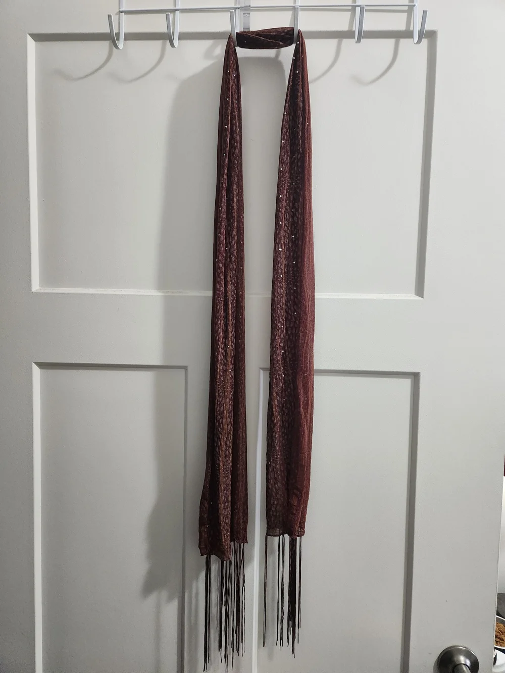 Brown Metallic Fringe Long Scarf for Women